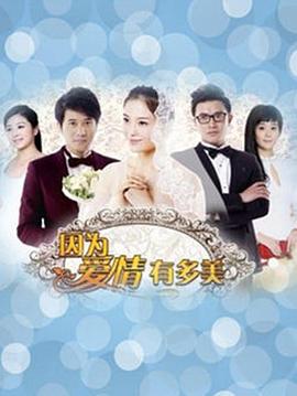 因?yàn)閻?ài)情有多美DVD(全集)